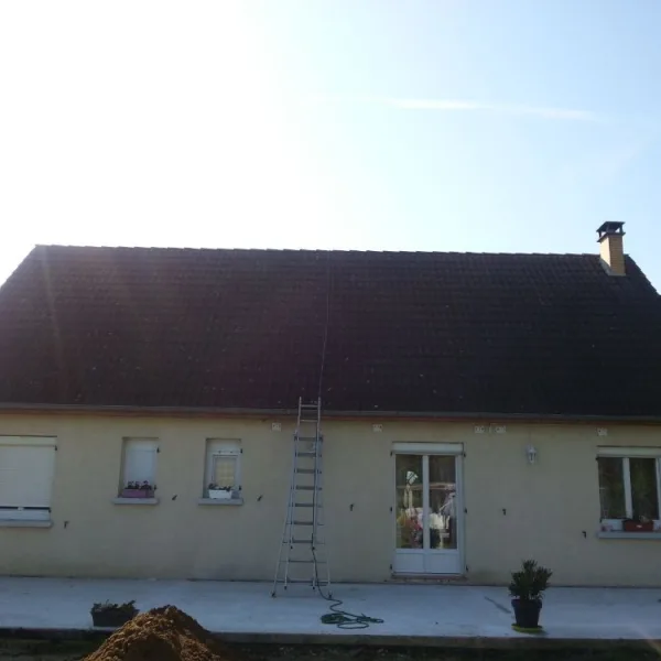 Peinture toiture, ravalement et peinture cache moineaux - Changement de gouttiere en zinc