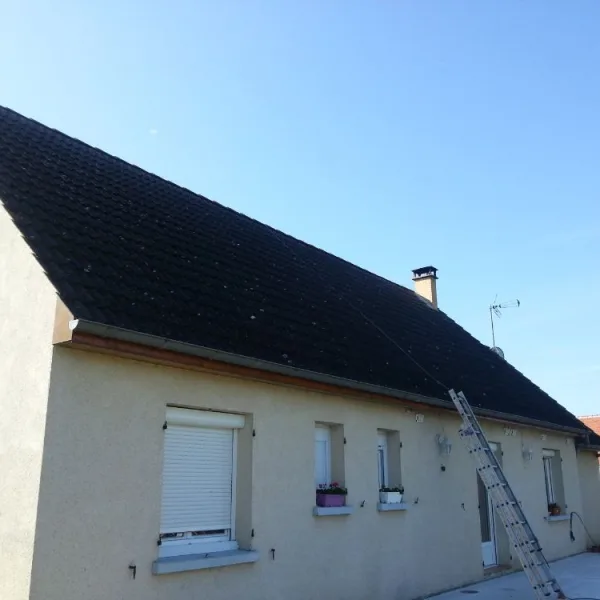 Peinture toiture, ravalement et peinture cache moineaux - Changement de gouttiere en zinc