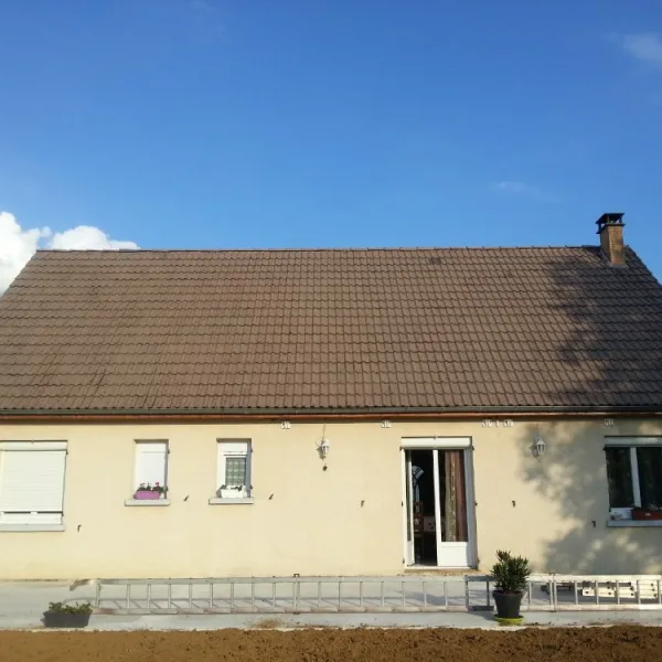 -Peinture toiture, ravalement et peinture cache moineaux - Changement de gouttiere en zinc