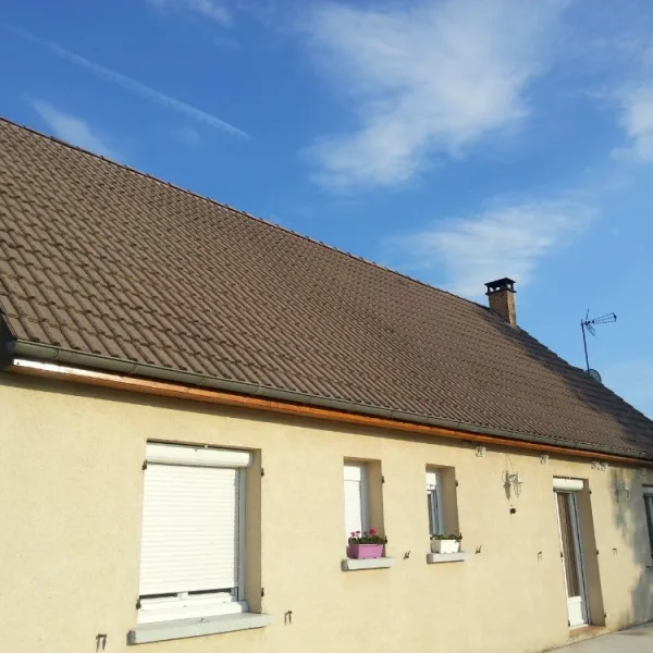 Peinture toiture, ravalement et peinture cache moineaux - Changement de gouttiere en zinc