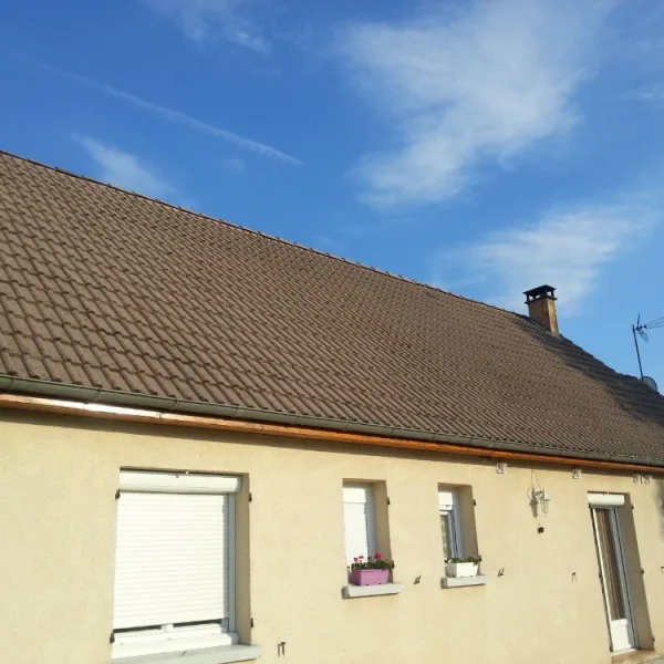 -Peinture toiture, ravalement et peinture cache moineaux - Changement de gouttiere en zinc