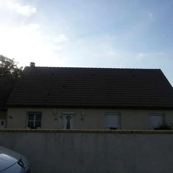 Peinture toiture, ravalement et peinture cache moineaux - Changement de gouttiere en zinc