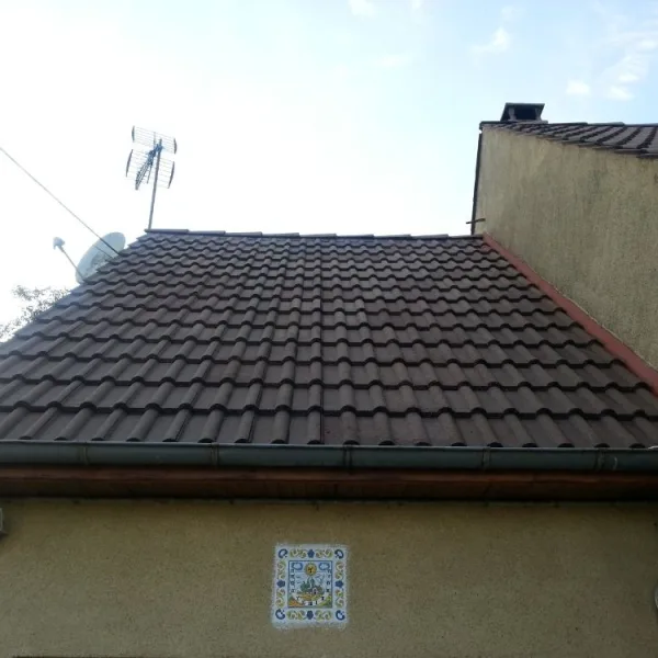 Peinture toiture, ravalement et peinture cache moineaux - Changement de gouttiere en zinc