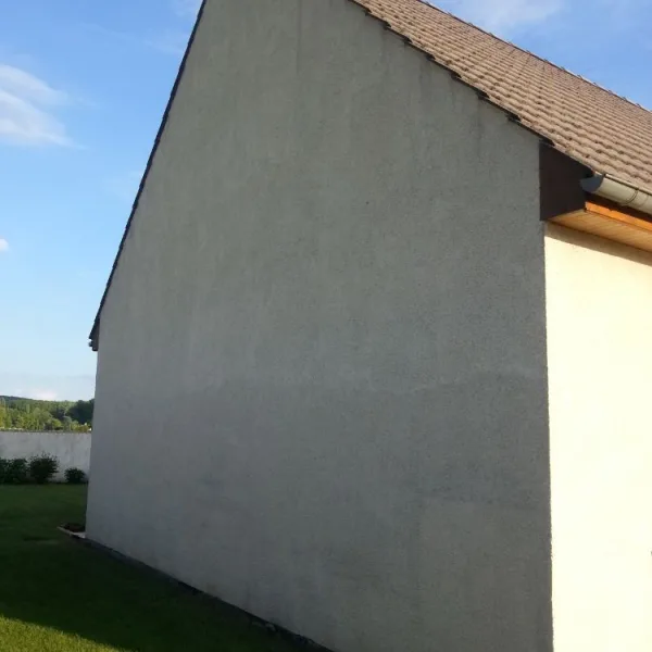 Peinture toiture, ravalement et peinture cache moineaux - Changement de gouttiere en zinc