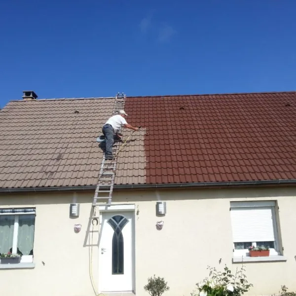 Peinture toiture, ravalement et peinture cache moineaux - Changement de gouttiere en zinc