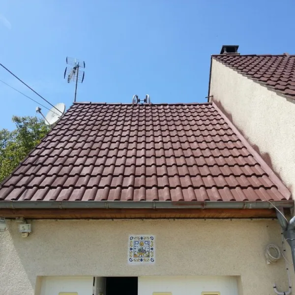 Peinture toiture, ravalement et peinture cache moineaux - Changement de gouttiere en zinc