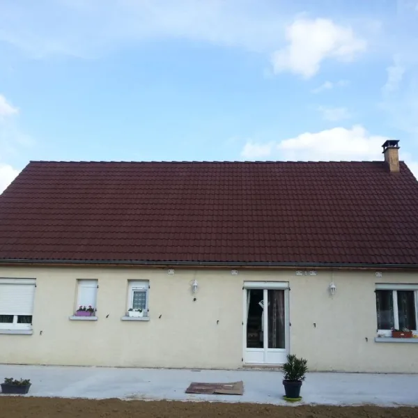 Peinture toiture, ravalement et peinture cache moineaux - Changement de gouttiere en zinc