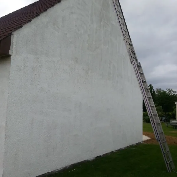 Peinture toiture, ravalement et peinture cache moineaux - Changement de gouttiere en zinc