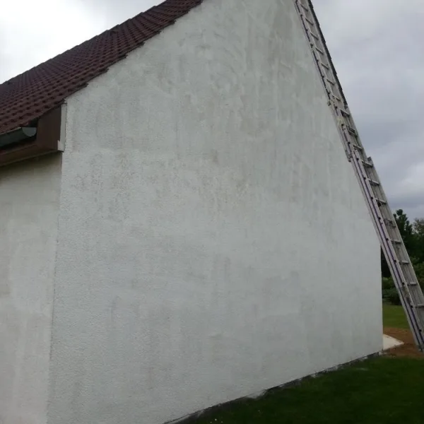 Peinture toiture, ravalement et peinture cache moineaux - Changement de gouttiere en zinc