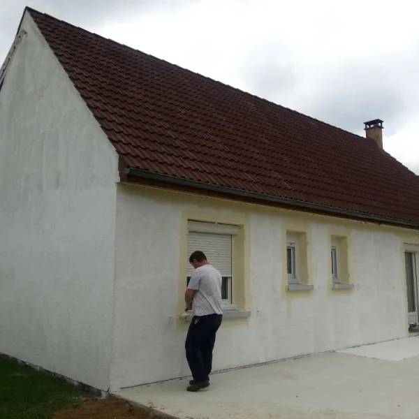 Peinture toiture, ravalement et peinture cache moineaux - Changement de gouttiere en zinc