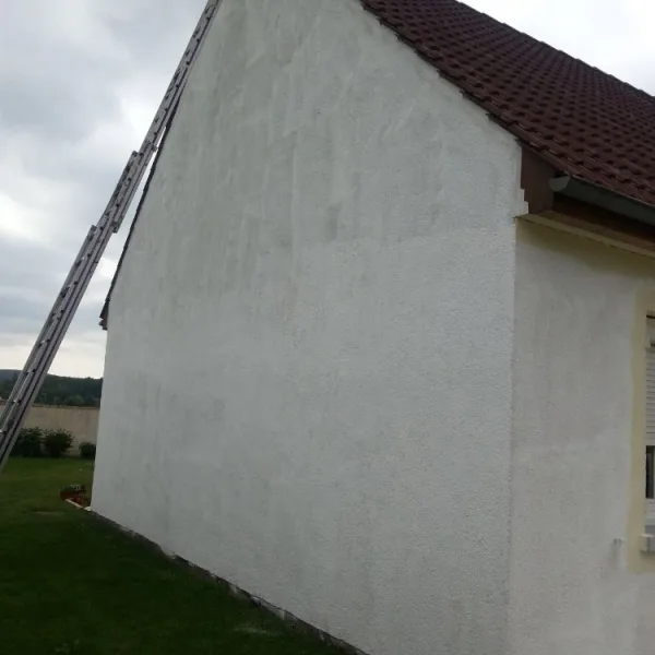 Peinture toiture, ravalement et peinture cache moineaux - Changement de gouttiere en zinc