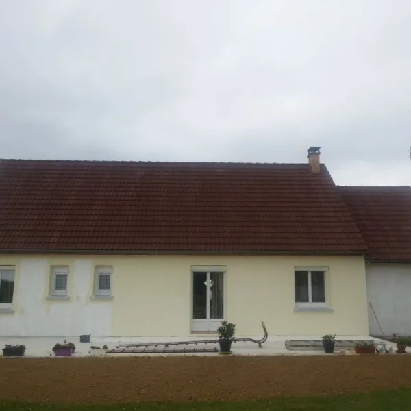 Peinture toiture, ravalement et peinture cache moineaux - Changement de gouttiere en zinc