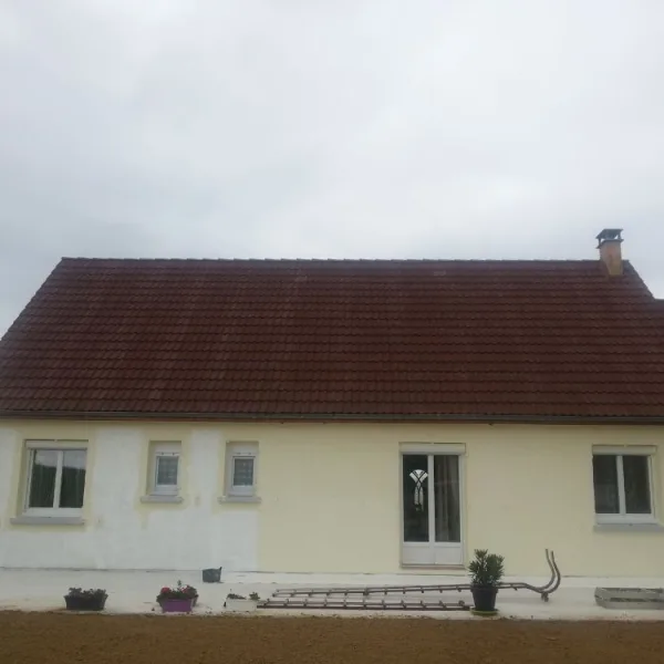 Peinture toiture, ravalement et peinture cache moineaux - Changement de gouttiere en zinc