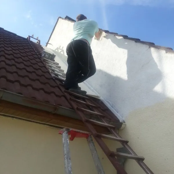 Peinture toiture, ravalement et peinture cache moineaux - Changement de gouttiere en zinc