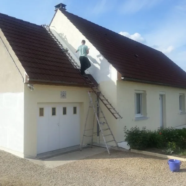 Peinture toiture, ravalement et peinture cache moineaux - Changement de gouttiere en zinc