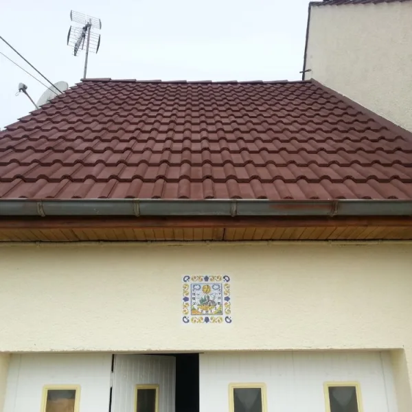Peinture toiture, ravalement et peinture cache moineaux - Changement de gouttiere en zinc