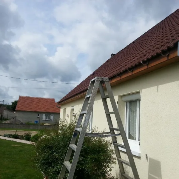 Peinture toiture, ravalement et peinture cache moineaux - Changement de gouttiere en zinc