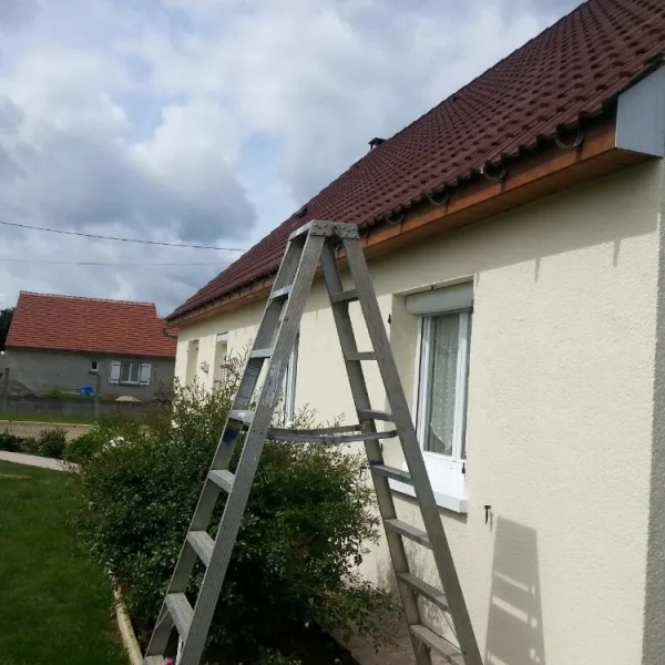 Peinture toiture, ravalement et peinture cache moineaux - Changement de gouttiere en zinc