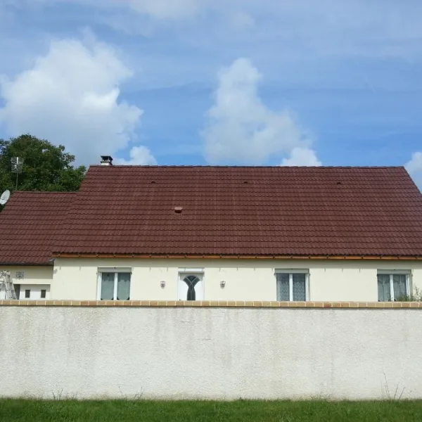 Peinture toiture, ravalement et peinture cache moineaux - Changement de gouttiere en zinc