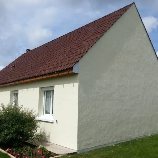 Peinture toiture, ravalement et peinture cache moineaux - Changement de gouttiere en zinc