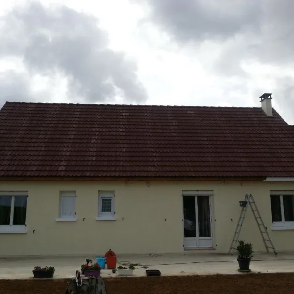 Peinture toiture, ravalement et peinture cache moineaux - Changement de gouttiere en zinc