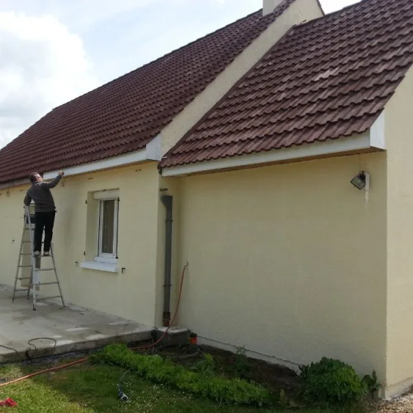 Peinture toiture, ravalement et peinture cache moineaux - Changement de gouttiere en zinc