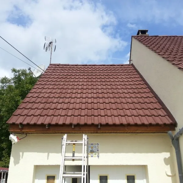 Peinture toiture, ravalement et peinture cache moineaux - Changement de gouttiere en zinc
