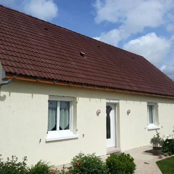 Peinture toiture, ravalement et peinture cache moineaux - Changement de gouttiere en zinc