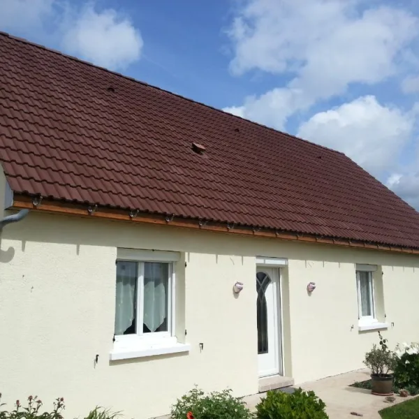 Peinture toiture, ravalement et peinture cache moineaux - Changement de gouttiere en zinc