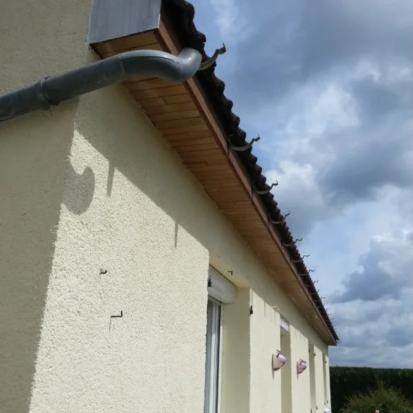 Peinture toiture, ravalement et peinture cache moineaux - Changement de gouttiere en zinc