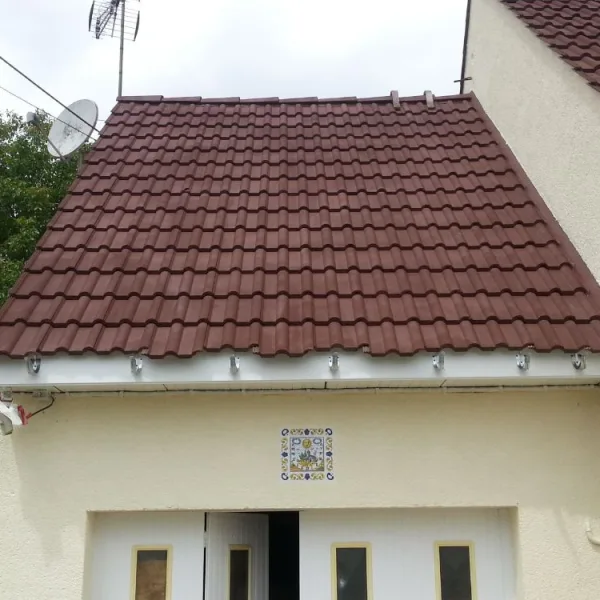 Peinture toiture, ravalement et peinture cache moineaux - Changement de gouttiere en zinc