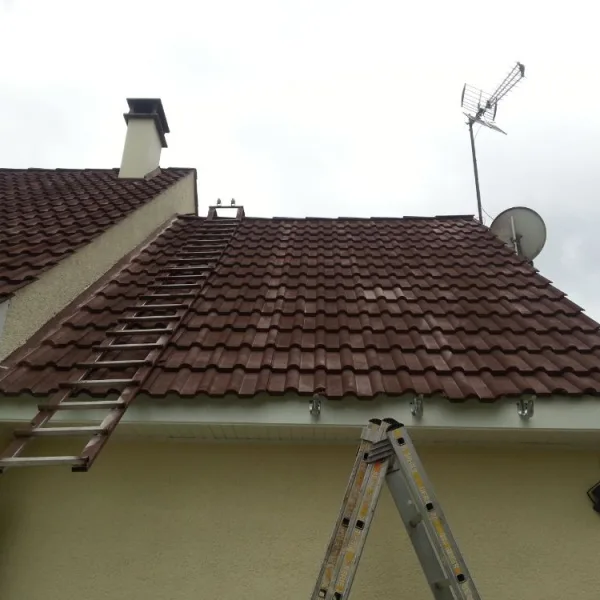 Peinture toiture, ravalement et peinture cache moineaux - Changement de gouttiere en zinc