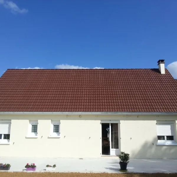 Peinture toiture, ravalement et peinture cache moineaux - Changement de gouttiere en zinc