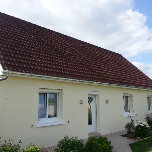 Peinture toiture, ravalement et peinture cache moineaux - Changement de gouttiere en zinc