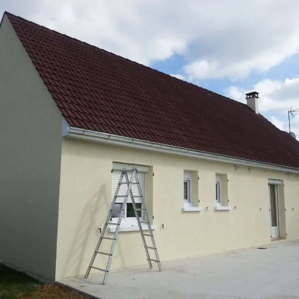 Peinture toiture, ravalement et peinture cache moineaux - Changement de gouttiere en zinc