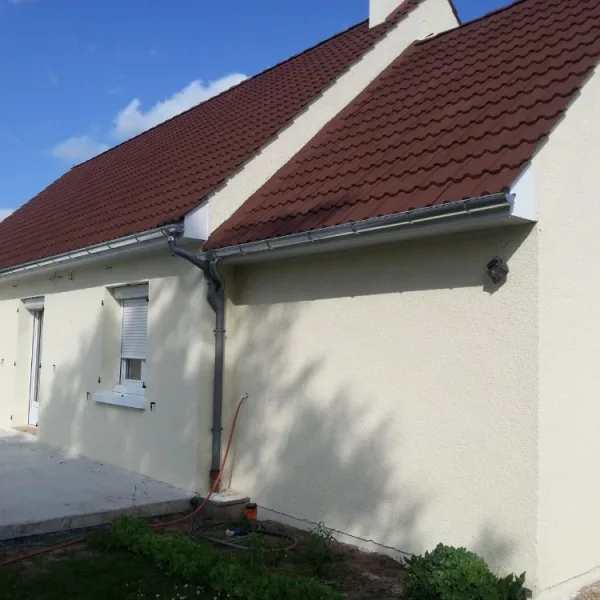 Peinture toiture, ravalement et peinture cache moineaux - Changement de gouttiere en zinc