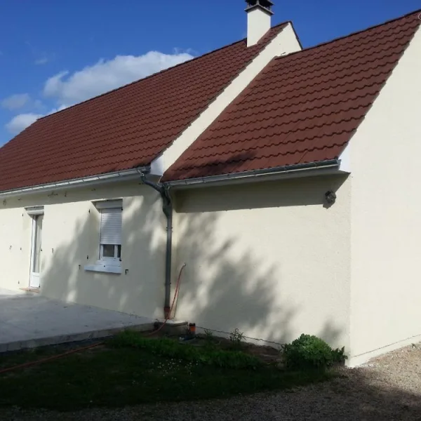Peinture toiture, ravalement et peinture cache moineaux - Changement de gouttiere en zinc