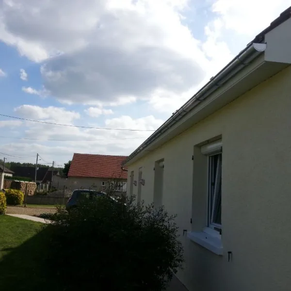 Peinture toiture, ravalement et peinture cache moineaux - Changement de gouttiere en zinc