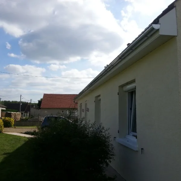 Peinture toiture, ravalement et peinture cache moineaux - Changement de gouttiere en zinc
