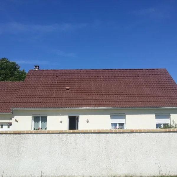 Peinture toiture, ravalement et peinture cache moineaux - Changement de gouttiere en zinc