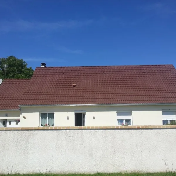 Peinture toiture, ravalement et peinture cache moineaux - Changement de gouttiere en zinc
