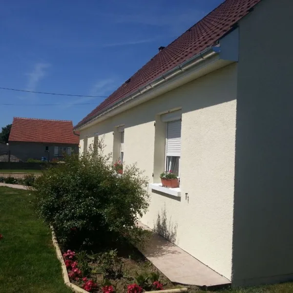 Peinture toiture, ravalement et peinture cache moineaux - Changement de gouttiere en zinc