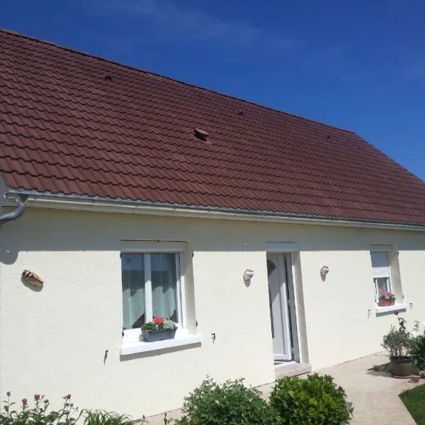 Peinture toiture, ravalement et peinture cache moineaux - Changement de gouttiere en zinc