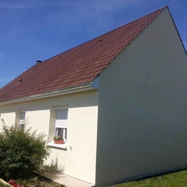Peinture toiture, ravalement et peinture cache moineaux - Changement de gouttiere en zinc