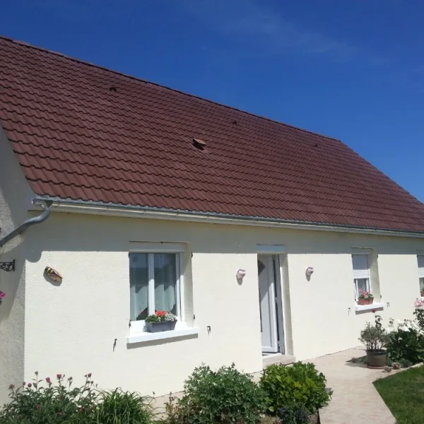 Peinture toiture, ravalement et peinture cache moineaux - Changement de gouttiere en zinc