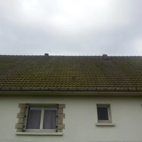 Nettoyage de toiture au karcher