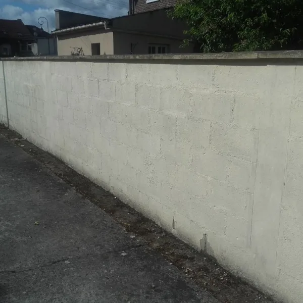 Nettoyage extérieur + peinture