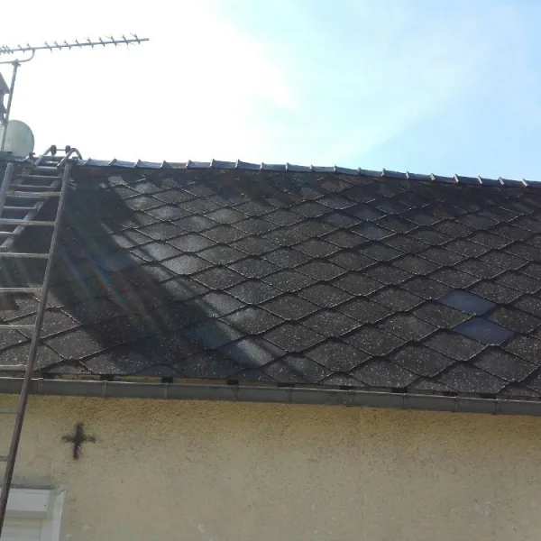 Nettoyage de toiture + peinture