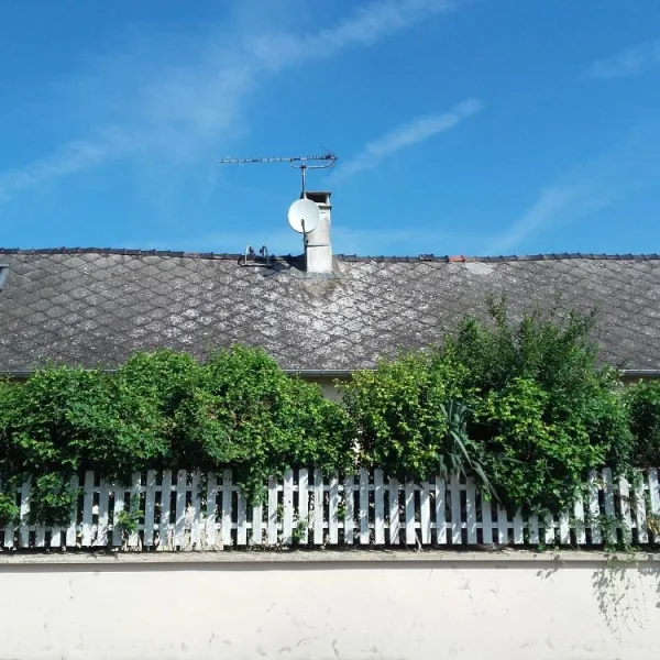 Nettoyage de toiture + peinture
