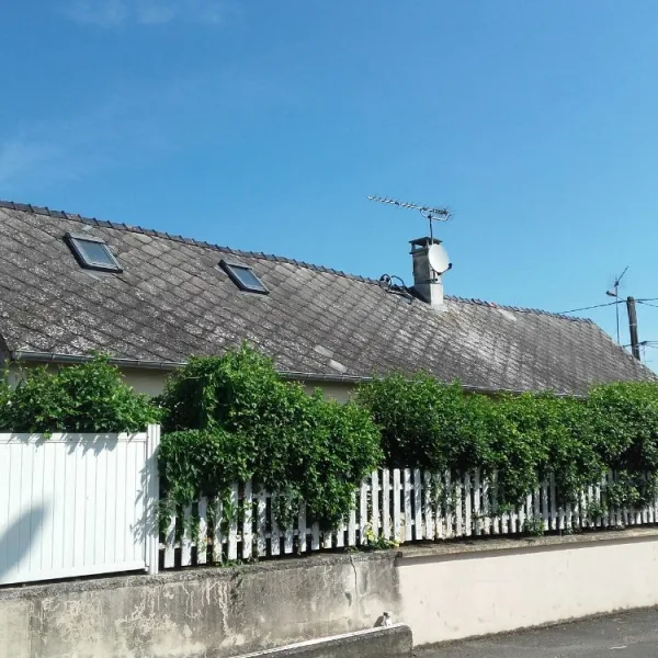 Nettoyage de toiture + peinture